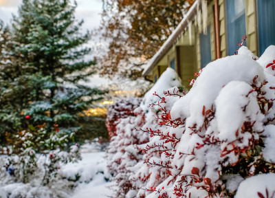 大雪覆盖了中西部房屋前的红色灌木丛