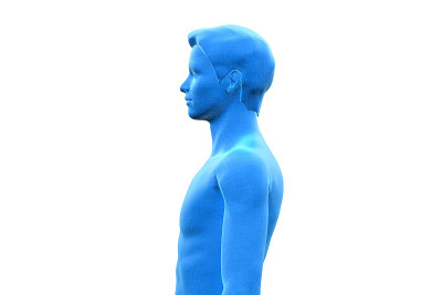 男人，人类男性的身体，3D，上半身