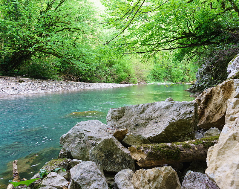 石头块在山河Khosta河岸与绿松石水在紫杉箱树林