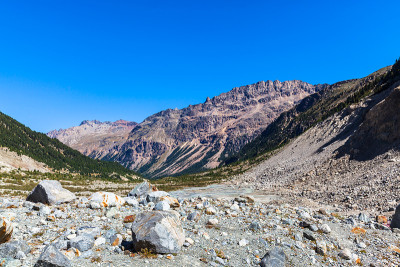 Morteratsch山谷的美丽景色