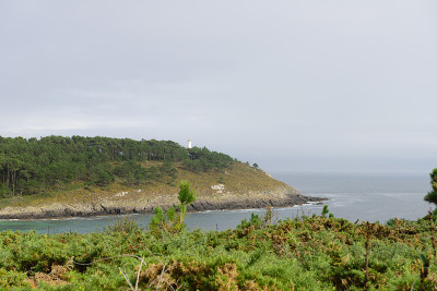 海洋海岸