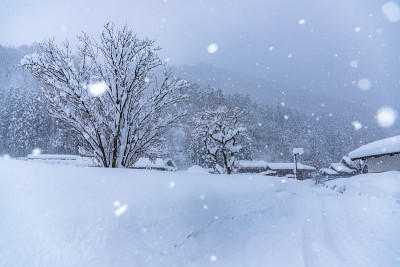 白川走下了大雪