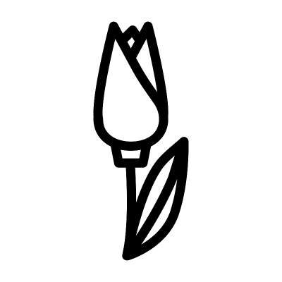 郁金香花线图标矢量插图