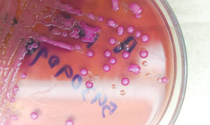 微生物学实验室