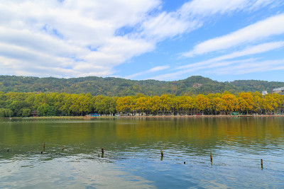 杭州美丽的风景，西湖