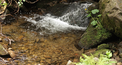 高山流水