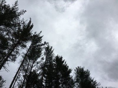 三角形的树木映衬着三角形的云彩
