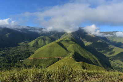 全景