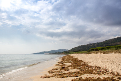 塔里法的风景-加的斯-沙丘在蓬帕洛马海滩。背景中的地中海