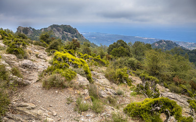 山区科西嘉岛