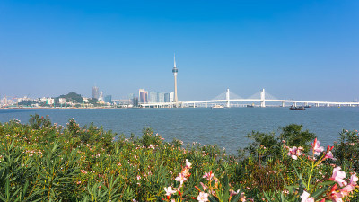 航拍澳门湾区风光及现代建筑景观