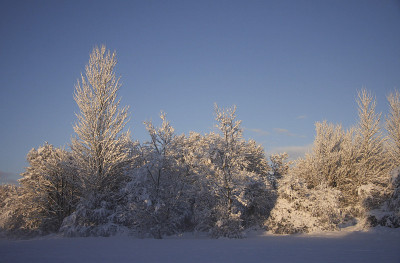 冬季雪景卡迪夫，南威尔士，英国