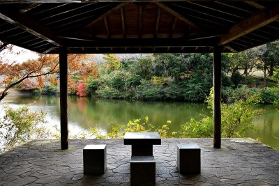 一个场景