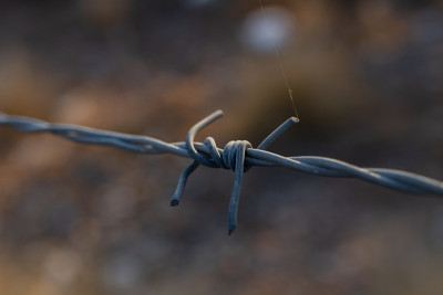 PUAS_WIRE_01