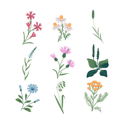 花组