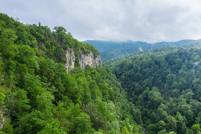 高加索大山脊。纳瓦利辛斯基峡谷(白色岩石)。亚热带森林。鸟瞰图。