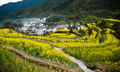 中国江西省婺源县的乡村景观