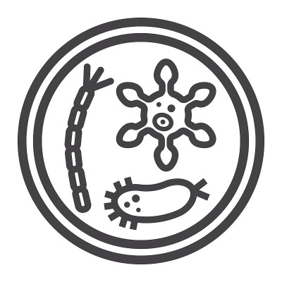 培养皿细菌线图标，医药保健，微生物符号矢量图形，白色背景上的线性图案，eps 10。