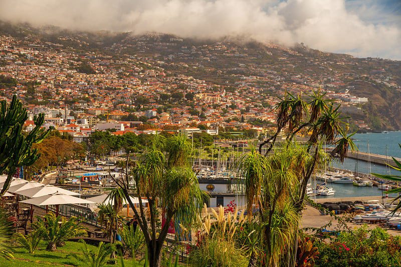 马德拉岛的Funchal