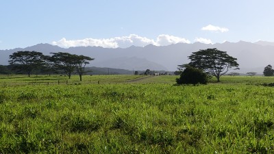 考艾岛的风景