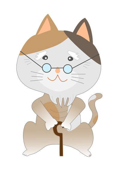 老猫
