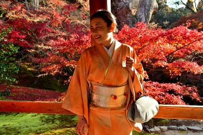 穿着和服的日本妇女在京都Tofuku-ji享受秋天的树叶