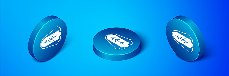 Isometric Fresh cabbage vegetable icon isolated on