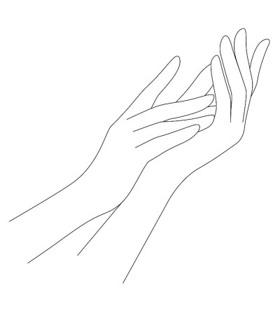 Woman's hands. Line art graphic design. Vector ill