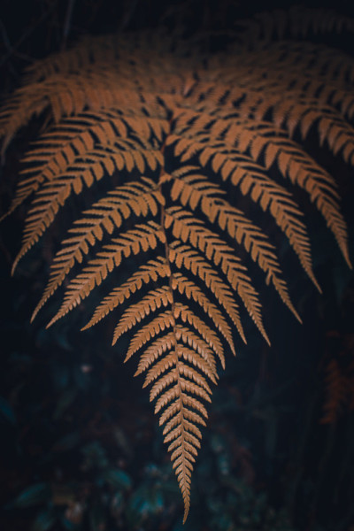 远