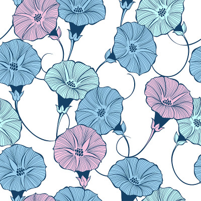 花卉无缝模式与手绘旋花花在白色的背景。矢量彩色插图。