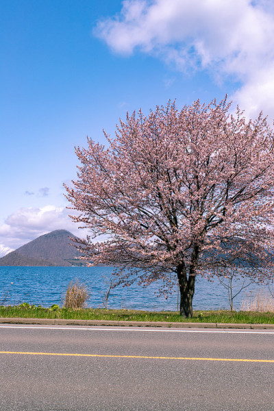 北海道洞爷湖风光。
