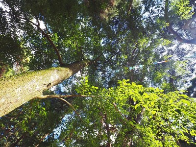 夏令营的照片