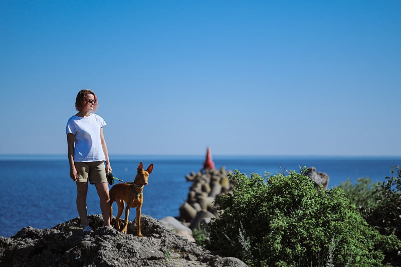 一个年轻的女人带着一只法老品种的红色狗沿着海岸旅行。夏天阳光明媚，天空湛蓝。