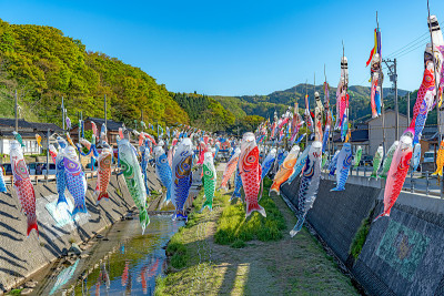 鲤鱼飘带