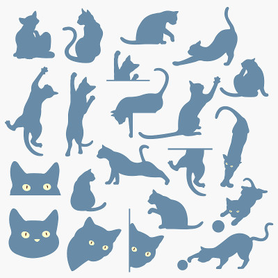 漂亮的猫插图