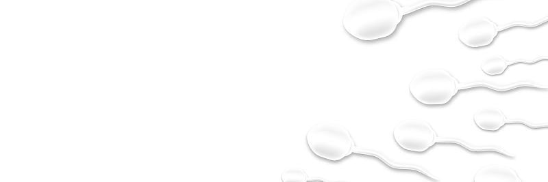 矢量现实孤立的精子海报上的白色背景。体外受精和受精的概念。