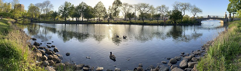 波士顿查尔斯河全景