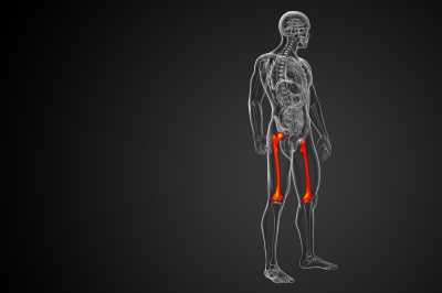 股骨的3d渲染医学插图