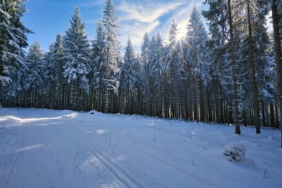 图林根州冬天的雪景