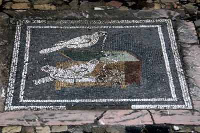 镶嵌在Pompeij