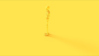 黄色骨骼系统解剖模型左视图