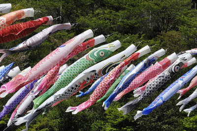 鲤鱼等浮电缆