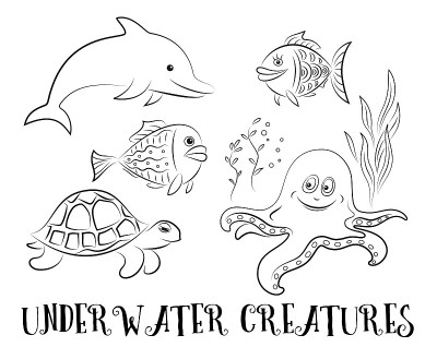 海洋生物轮廓