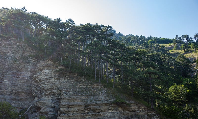 克里米亚半岛的风景