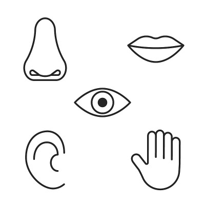 Icon of five human senses, vision, smell, taste, h