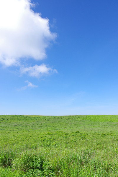 夏季的基利甘明高原