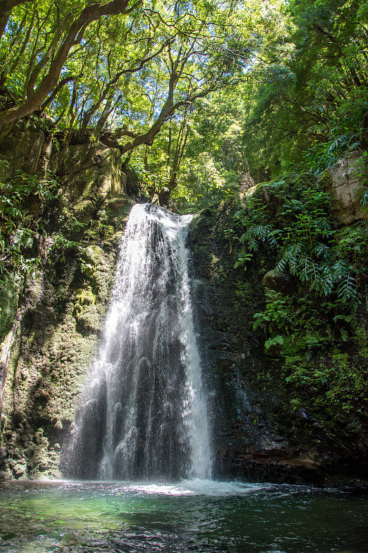 在亚速尔群岛的SAO miguel岛，漫步并发现怀孕的萨尔托瀑布