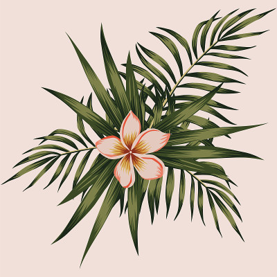 鸡蛋花与春叶组成