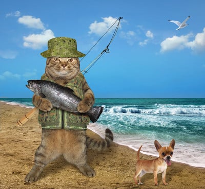 猫渔民和一只狗在岸边
