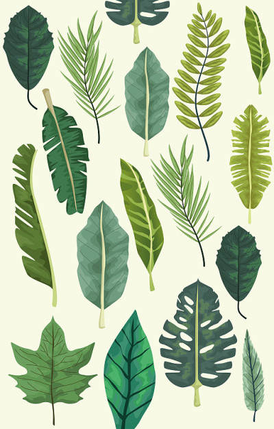 tropical leafs botanical background design